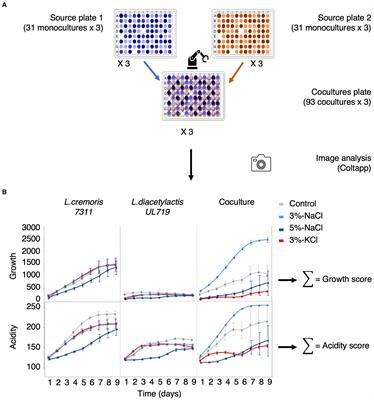 High-throughput characterization of the effect of sodium chloride and potassium chloride on 31 lactic acid bacteria and their co-cultures